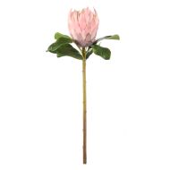 Rogue Grand Protea Stem Pink 25x25x63cm