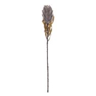 Rogue Dried Look Protea Stem Dusty Brown 12x12x62cm