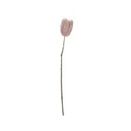 Rogue Deco Protea Stem Soft Pink 10x10x78cm