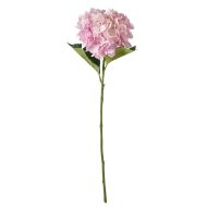 Rogue Hydrangea Stem Pink 25x25x65cm