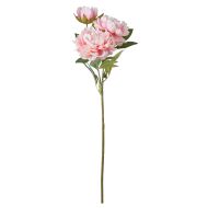 Rogue Peony Stem Pink 15x11x76cm