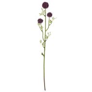 Rogue Mini Allium Stem Dark Purple 9x5x64cm
