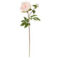 Rogue Peony Bud Spray Pink 23x10x56cm