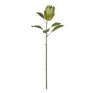 Rogue Protea Stem Green 9x9x79cm