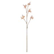 Rogue Kangaroo Paw Spray Yellow 84x16x4cm