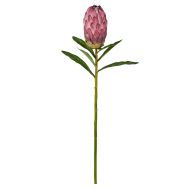 Rogue Protea Stem Burgundy 60x14x13cm