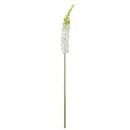 Rogue Foxtail Stem Cream 12x80x60cm