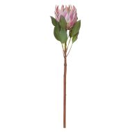 Rogue King Protea Stem Pink 14x14x72cm