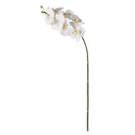 Rogue Phalaenopsis Stem White 88x20x9cm