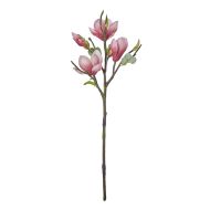 Rogue Tree Magnolia Blossom Pink 18x13x51cm