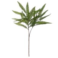 Rogue Fern Spray Green 50x50x82cm