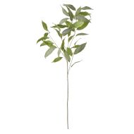 Rogue Eucalyptus Stem Green 41x41x99cm