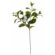 Rogue Lush Leaves Stem Green 28x20x75cm