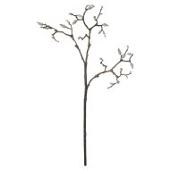 Rogue Tree Magnolia Bud Natural 16x37x104cm