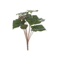 Rogue Matuda Anthurium Bush Green 45x45x45cm