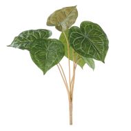 Rogue Matuda Anthurium Bush Green 45x45x45cm