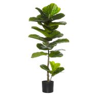 Rogue Giant Fiddle Plant Green 50x50x110cm