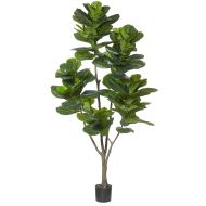 Rogue Giant Fiddle Tree Green 100x100x210cm