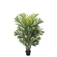 Rogue Areca Palm Tree-Garden Pot Green 75x75x115cm