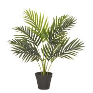Rogue Areca Palm Tree-Garden Pot Green 50x50x55cm