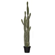 Rogue Saguaro Cactus-Garden Pot Green 30x30x152cm