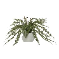 Rogue Boston Fern-Maliah Pot Green/Cream 80x84x60cm