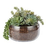 Rogue Succulent Mix-Scarlett Bowl Green/Glass 24x22x27cm