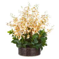 Rogue Dancing Orchid Garden Mix-Madelyn Bowl Cream/Glass 66x66x67cm