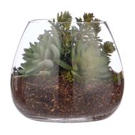 Rogue Succulent Mix-Garden Vase Green/Glass 20x20x21cm