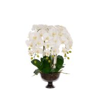 Rogue Phalaenopsis Full-Dahlia Bowl White & Glass 56x58x68cm
