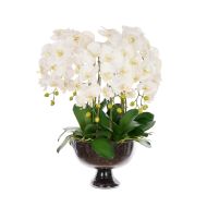 Rogue Phalaenopsis Full-Dahlia Bowl White & Glass 61x71x78cm