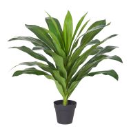 Rogue Dracaena-Garden Pot Green/Black 55x55x60cm