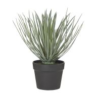 Rogue Spikey Grass-Garden Pot Green/Black 38x38x42cm