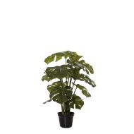 Rogue Monstera Plant-Garden Pot Green/Black 55x50x52cm