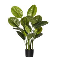Rogue Evergreen Plant-Garden Pot Green/Black 60x60x90cm