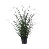 Rogue Grass Plant-Garden Pot Green 30x32x68cm