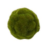 Rogue Moss Ball Green 9x9x9cm