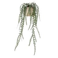 Rogue Cactus Hanging Fern-Dansk Pot Green/Natural 47x45x116cm