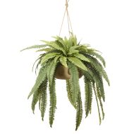 Rogue Boston Fern-Dansk Pot Hanging Green 110x110x130cm