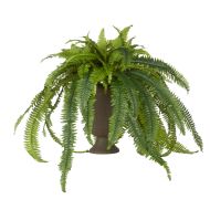 Rogue Boston Fern-Vintage Urn Green 75x75x95cm