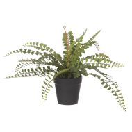 Rogue Jewel Fern-Garden Pot Green & Black 42x42x26cm