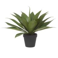 Rogue Agave-Garden Pot Green 50x50x36cm