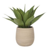 Rogue Agave-Tub Pot Green 45x45x40cm