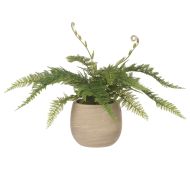 Rogue Bracken Fern-Tub Pot Green 45x45x34cm