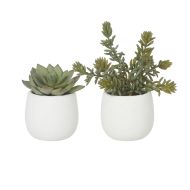 Rogue Succulent-Tub Pot 6pcs/2 Assorted Green 10x10x14cm & 15x15x19cm