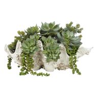 Rogue Succulent Mix-Seychelles Clam Vessel Green 52x32x26cm