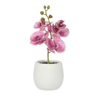 Rogue Orchid Stem-Tub Pot Purple & White 15x10x26cm