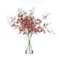 Rogue Dancing Orchids-Rachel Vase Burgundy & Clear 57x49x37cm