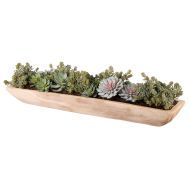 Rogue Echeveria Succulent Garden-Dansk Green 107x30x23cm