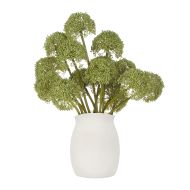 Rogue Buddleia Maliah Green 27x32x38cm